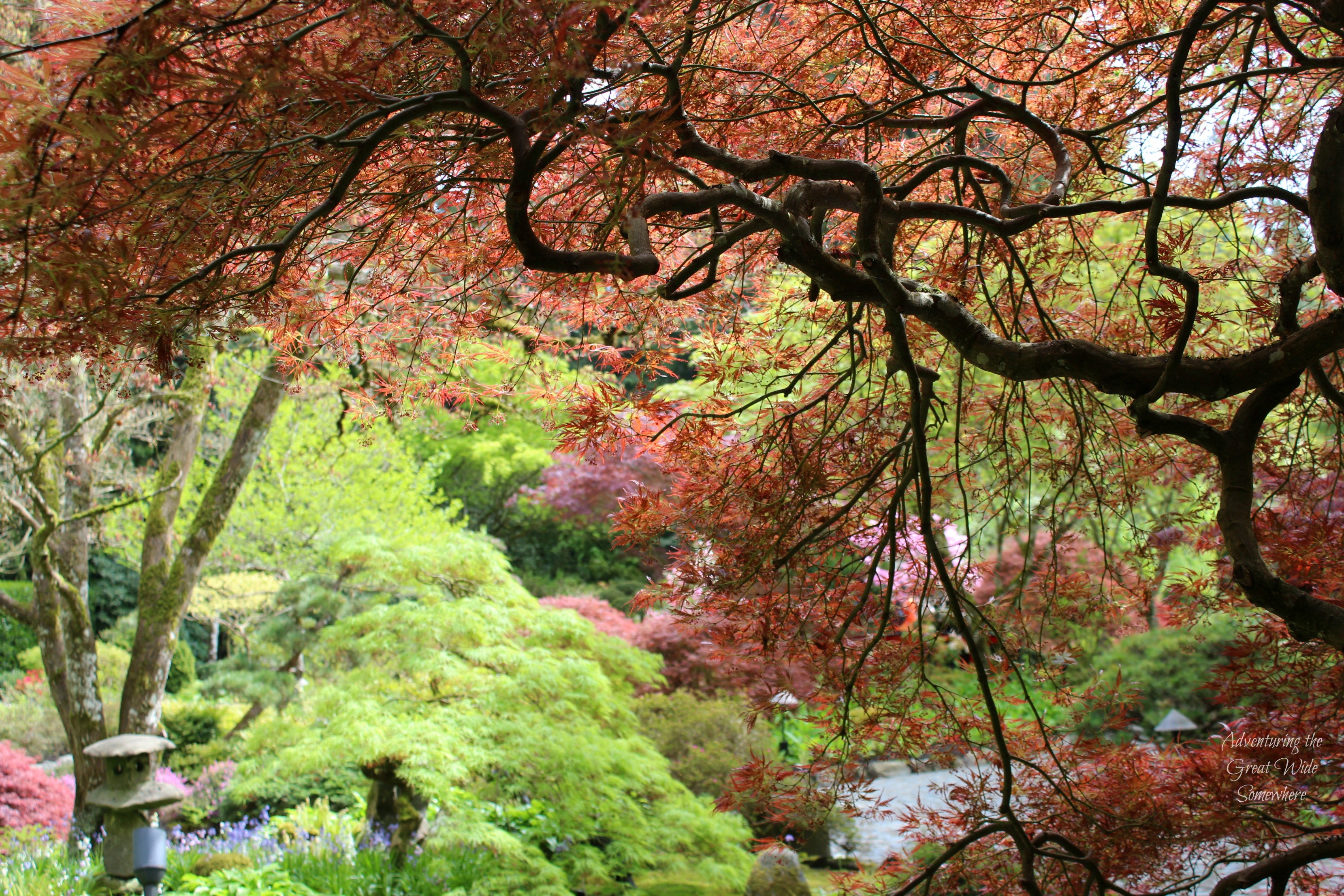 Fall Colors Abound at Butchart Gardens' Japanese Gardens
